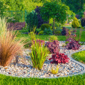 Read more about the article Plant Care Guide: Preparing for Summer with Land Care Garden Center