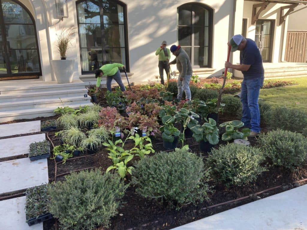 group of workers planting a bed of flowers and shrubs near a home